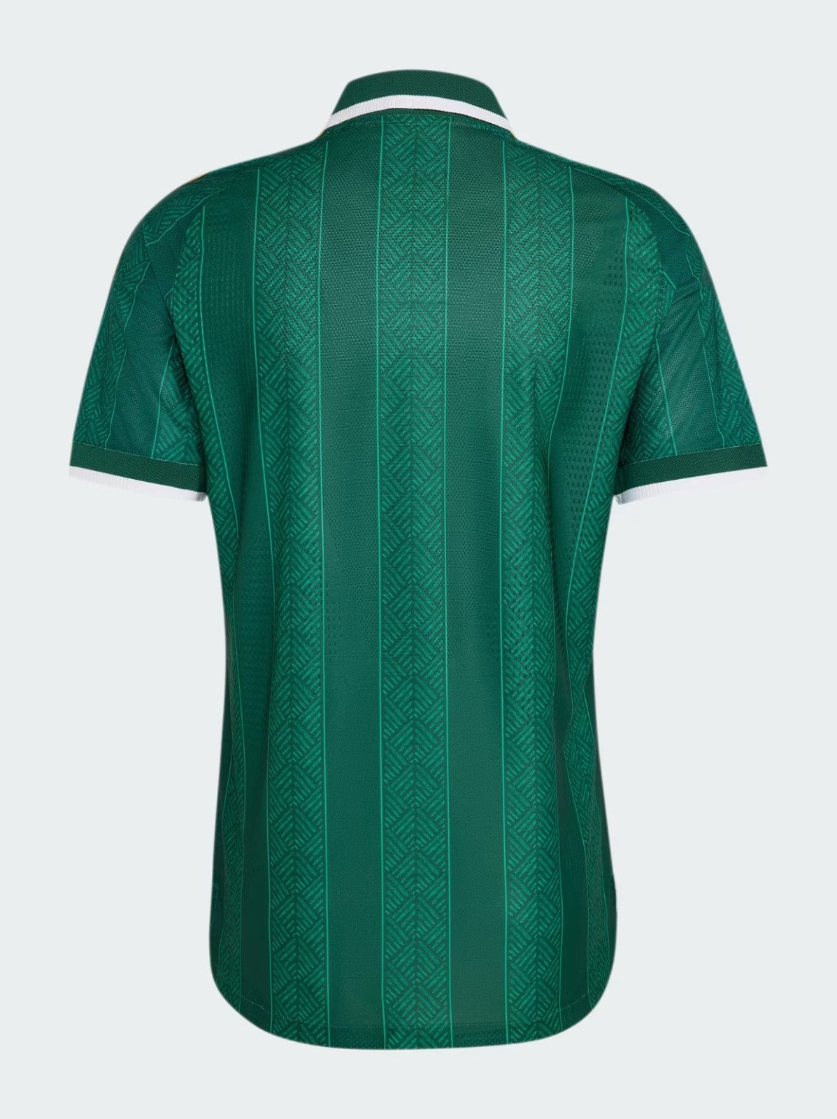Maillot extérieur Afrique du sud coupe du monde 2026